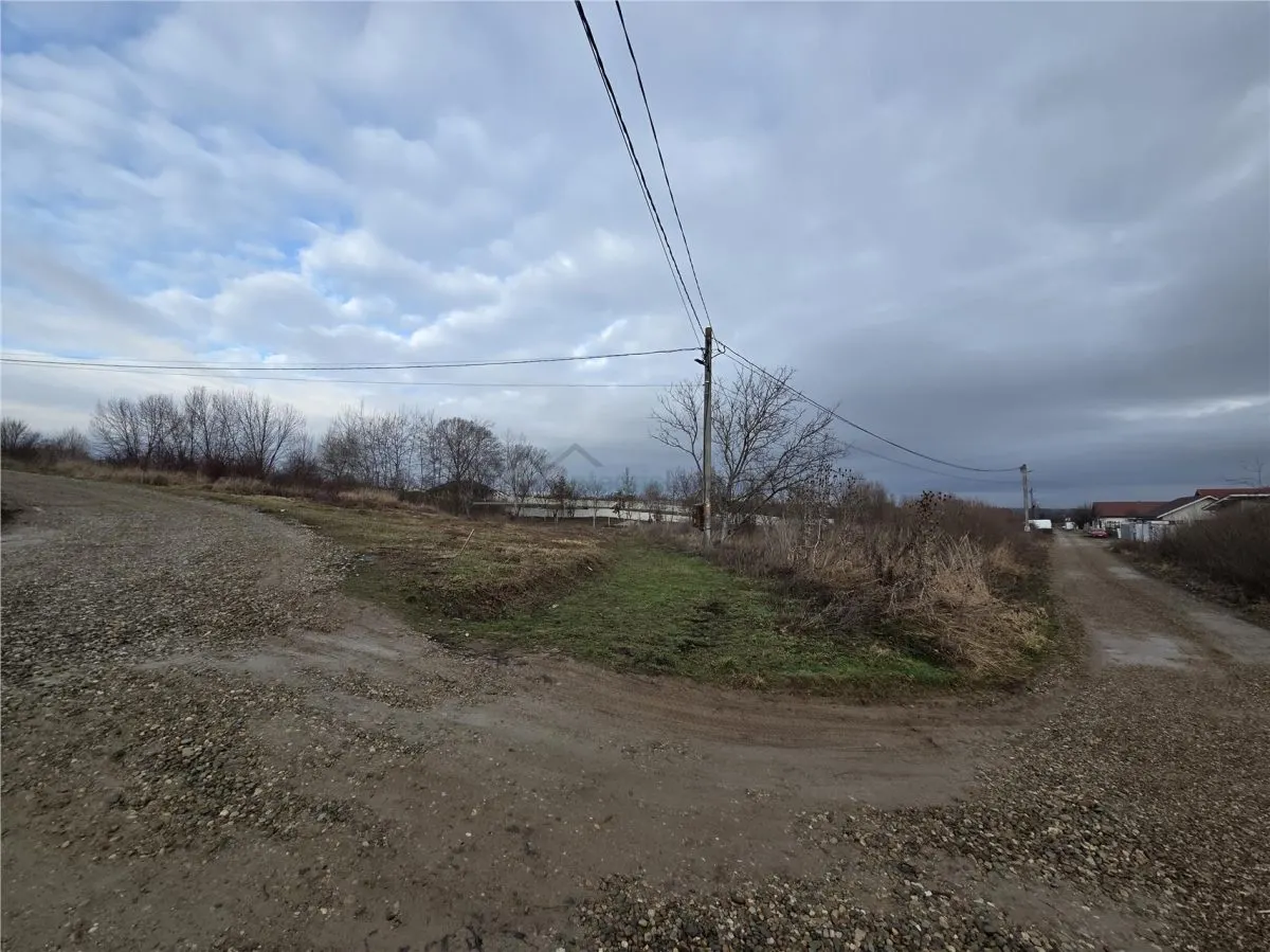Teren intravilan,dublu front,Paleu,Oradea,Bihor - foto 3