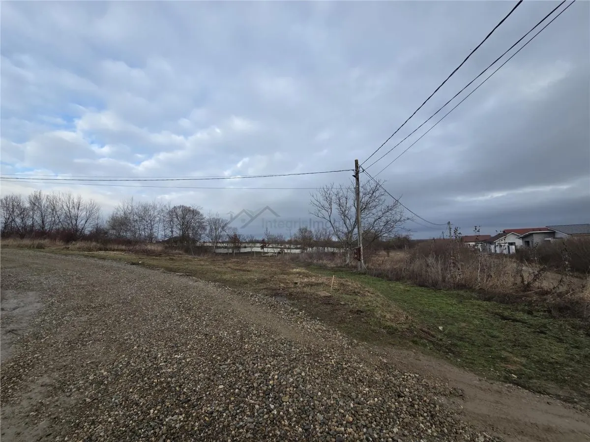 Teren intravilan,dublu front,Paleu,Oradea,Bihor - foto 4