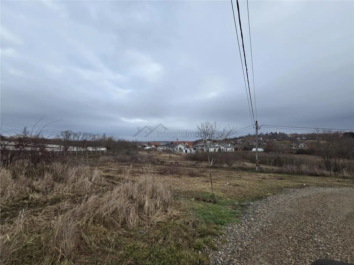 Teren intravilan,dublu front,Paleu,Oradea,Bihor - foto 5