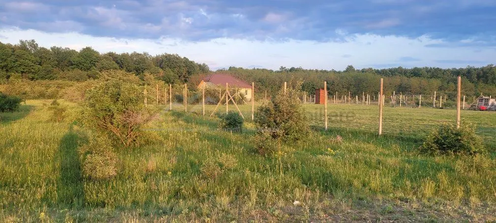 Teren intravilan in Gepiu - foto 2