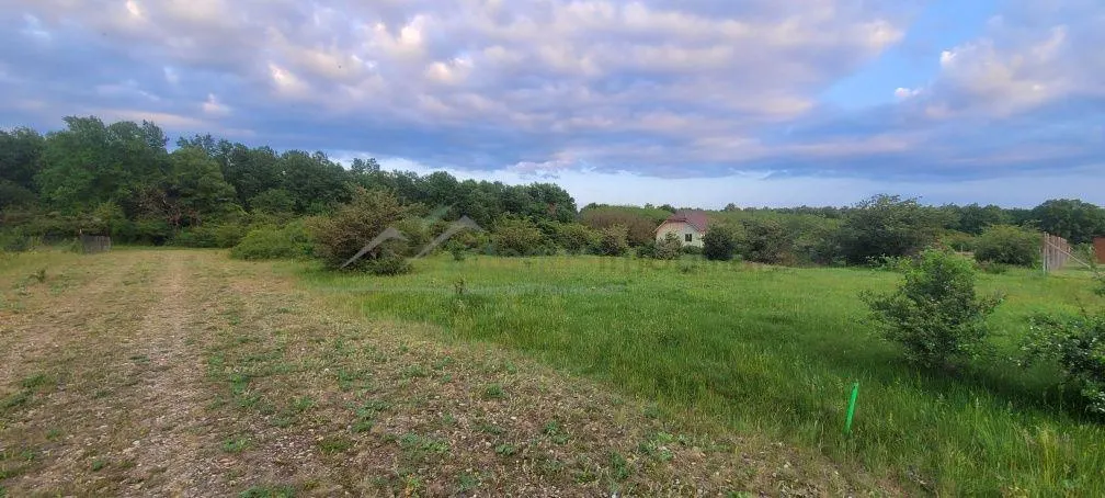 Teren intravilan in Gepiu - foto 4