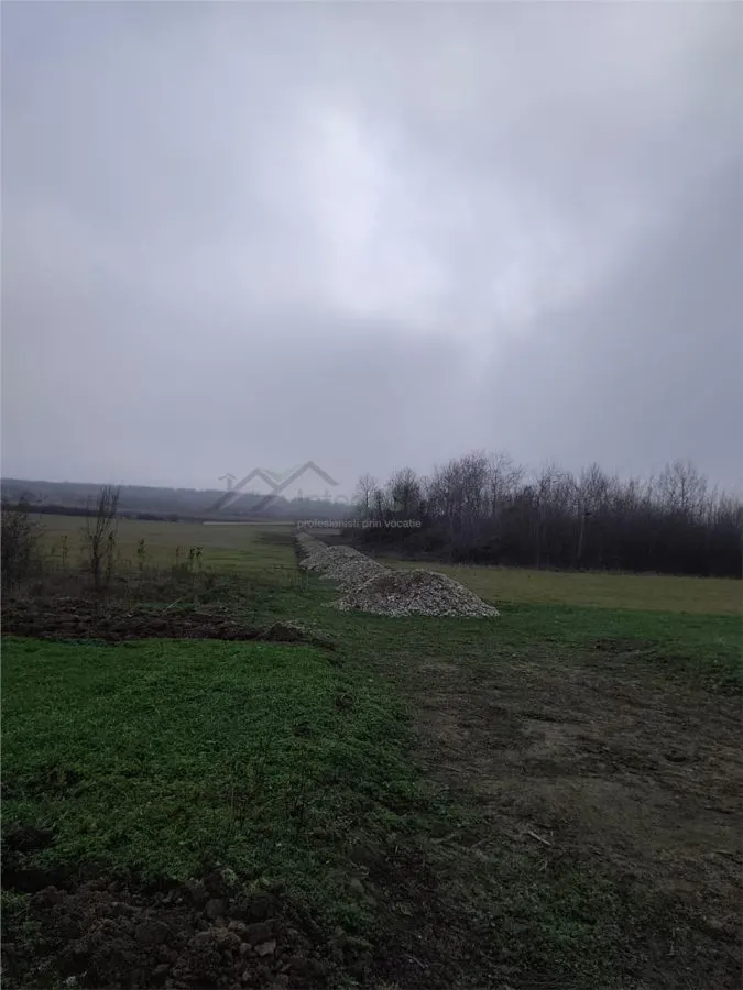 Teren intravilan in Cihei, cu PUZ aprobat, zona Fundatia Mihai Nesu - foto 3