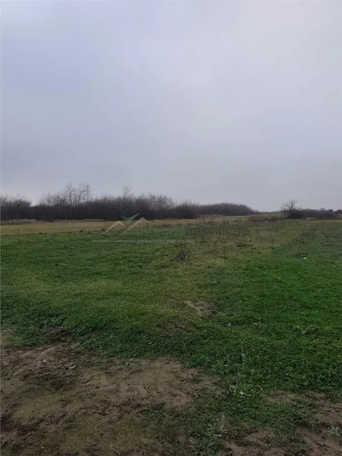 Teren intravilan in Cihei, cu PUZ aprobat, zona Fundatia Mihai Nesu - foto 4