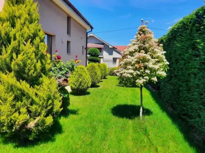 Vila P+M cu piscina,Oradea Cartier Grigorescu - foto 3