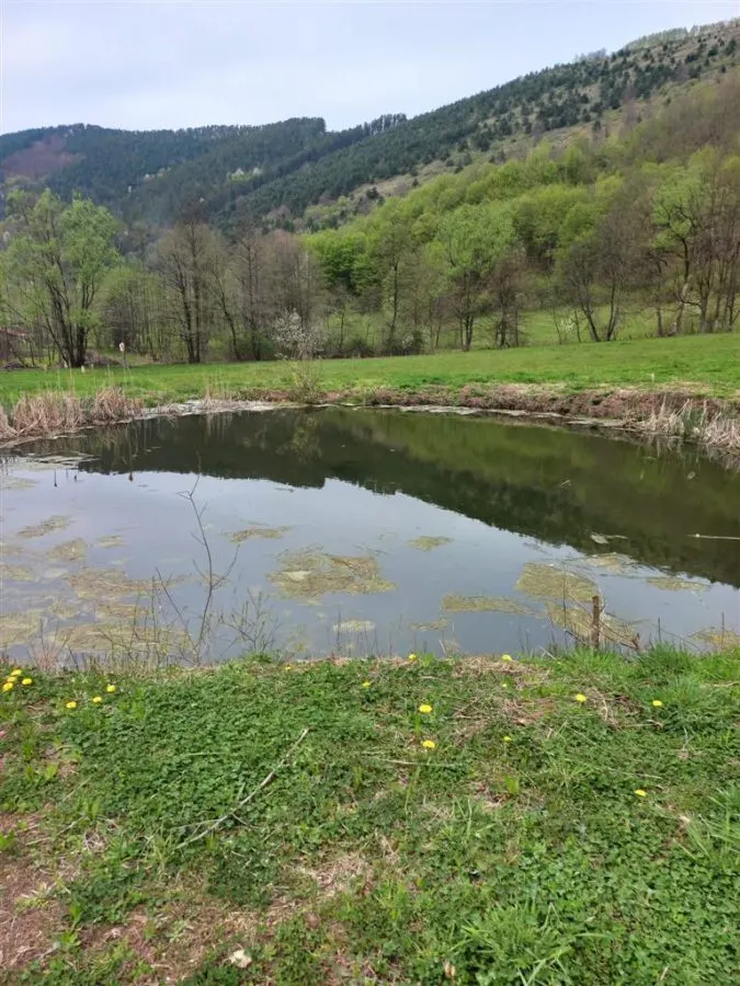 Teren intravilan cu utilitati, zona turistica Bulz,Bihor - foto 1