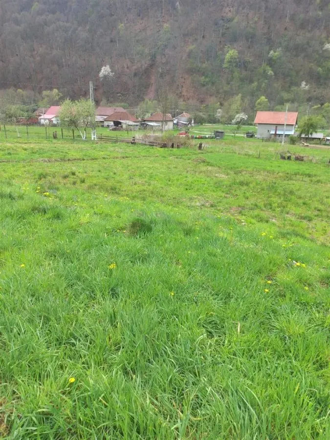 Teren intravilan cu utilitati, zona turistica Bulz,Bihor - foto 4