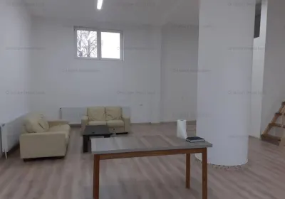 Vila P+1, 4 camere zona Centrala, St - 400 mp - foto 3