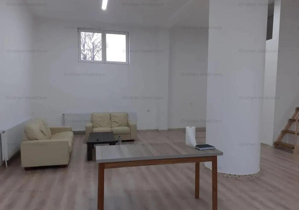 Vila P+1, 4 camere zona Centrala, St - 400 mp - foto 3