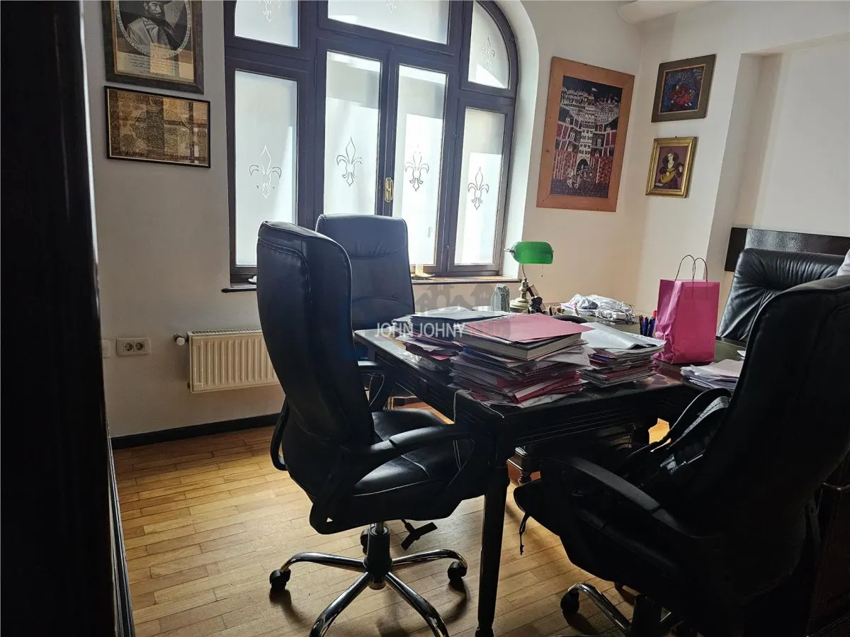 Vila deosebita Str. Vasile Lascar - foto 12