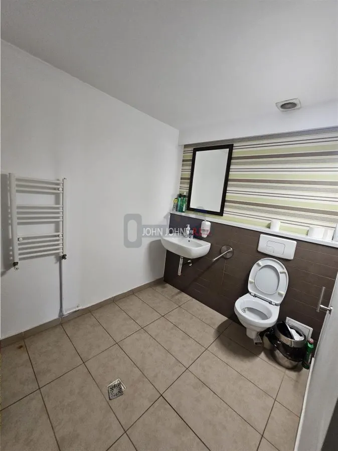 Vila deosebita Str. Vasile Lascar - foto 22