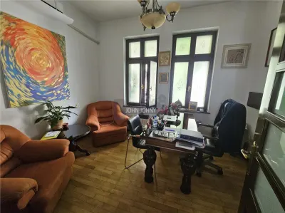 Vila deosebita Str. Vasile Lascar - foto 23