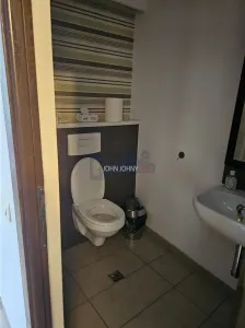 Vila deosebita Str. Vasile Lascar - foto 24