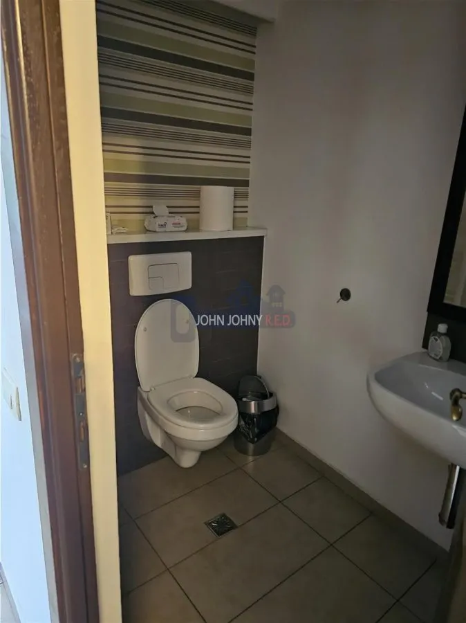 Vila deosebita Str. Vasile Lascar - foto 24