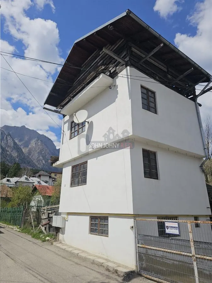 Vila Ultracentral Busteni - foto 3