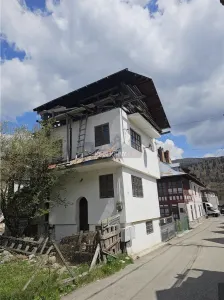 Vila Ultracentral Busteni - foto 4
