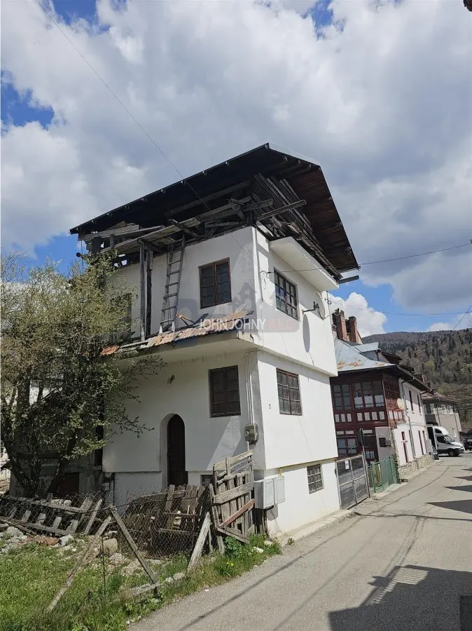 Vila Ultracentral Busteni - foto 4