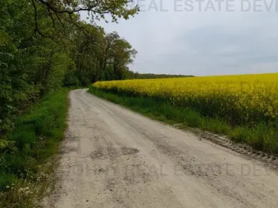 Teren intravilan construibil Gruiu - Caldarusani - foto 2