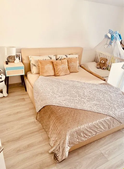 Apartament cu 2 camere de vanzare Giroc - foto 4
