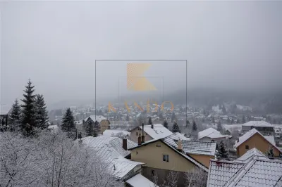 INVESTITIE PREMIUM | PENSIUNE DE LUX DE VANZARE – BUSTENI - foto 6