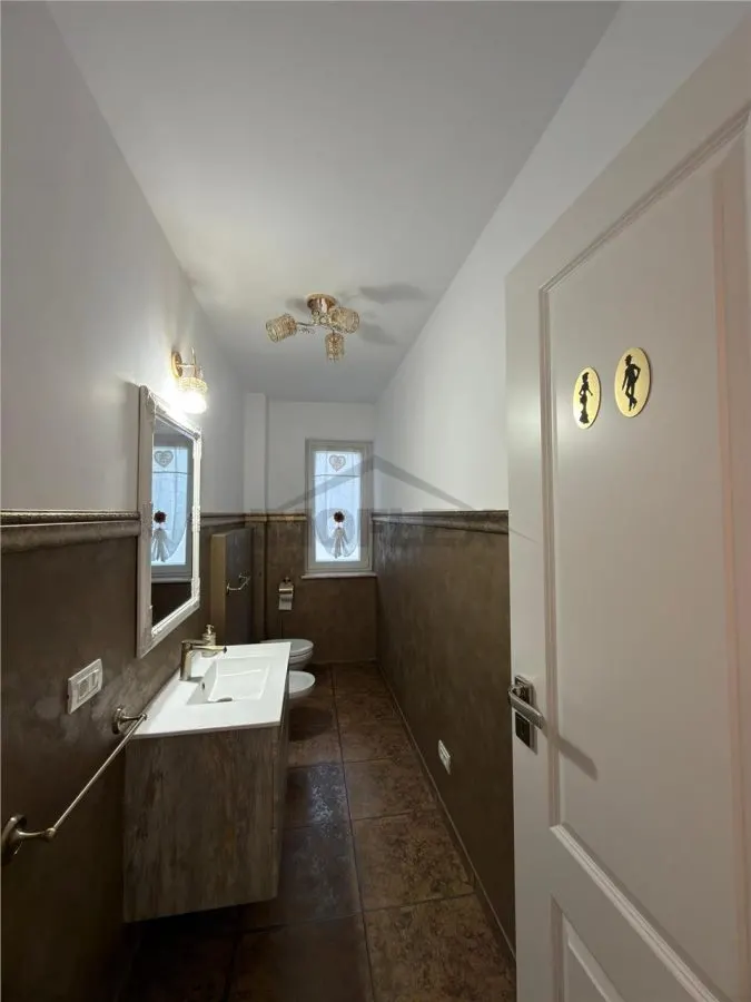 Casă individuală de lux în Dumbrăvița - foto 18