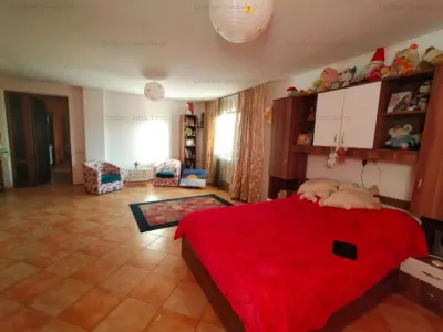 Casa P+1 zona Islaz - foto 4