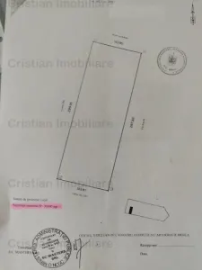 Teren intravilan de constructii Centura-Minerva 30.000 mp cu 50m front stradal - foto 2