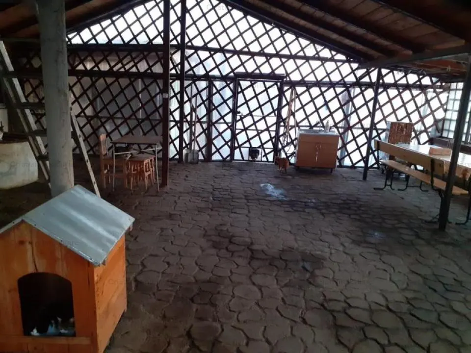 Casa 2 camere 80mp construiti Cazasu 5000 mp teren - foto 6