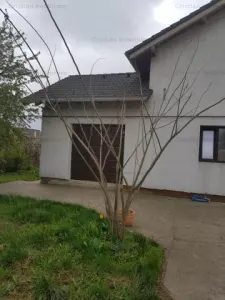 Vila NOUA  P+1 Cazasu 200mp construiti teren 1700mp cu 23m la strada - Cazasu