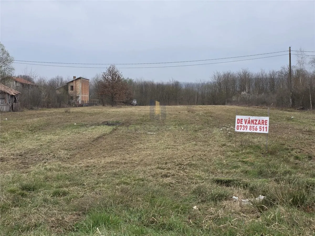 Terenuri zona Case de Vacanta  Lacul Surduc timis - foto 4