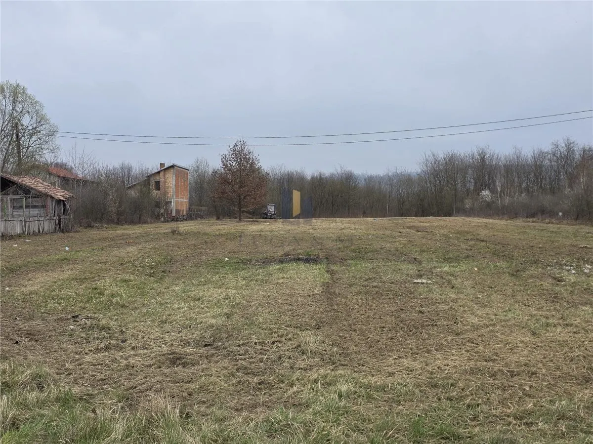 Terenuri zona Case de Vacanta  Lacul Surduc timis - foto 5