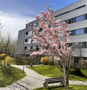 3 camere cu gradina si acces la piscina – viata moderna intr-un complex exclusivist - foto 7