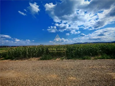 Teren extravilan de vânzare, 6.400 mp, Măgura - Magura
