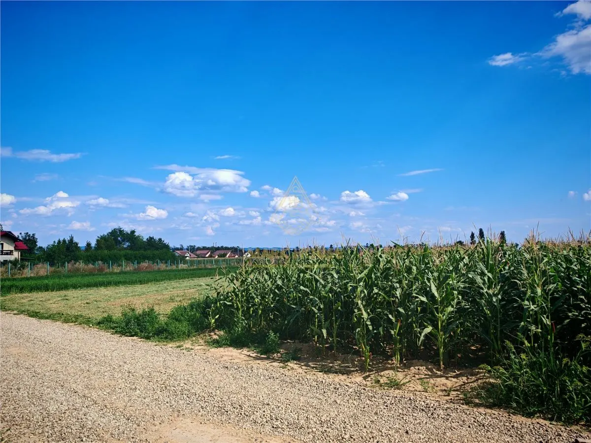 Teren extravilan de vânzare, 6.400 mp, Măgura - foto 2