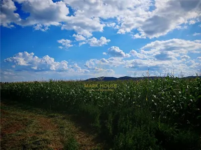 Teren extravilan de vânzare, 6.400 mp, Măgura - foto 3