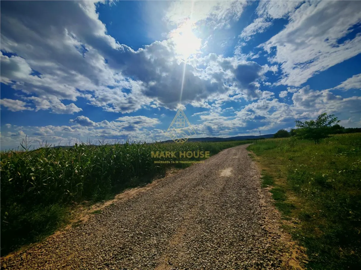 Teren extravilan de vânzare, 6.400 mp, Măgura - foto 4