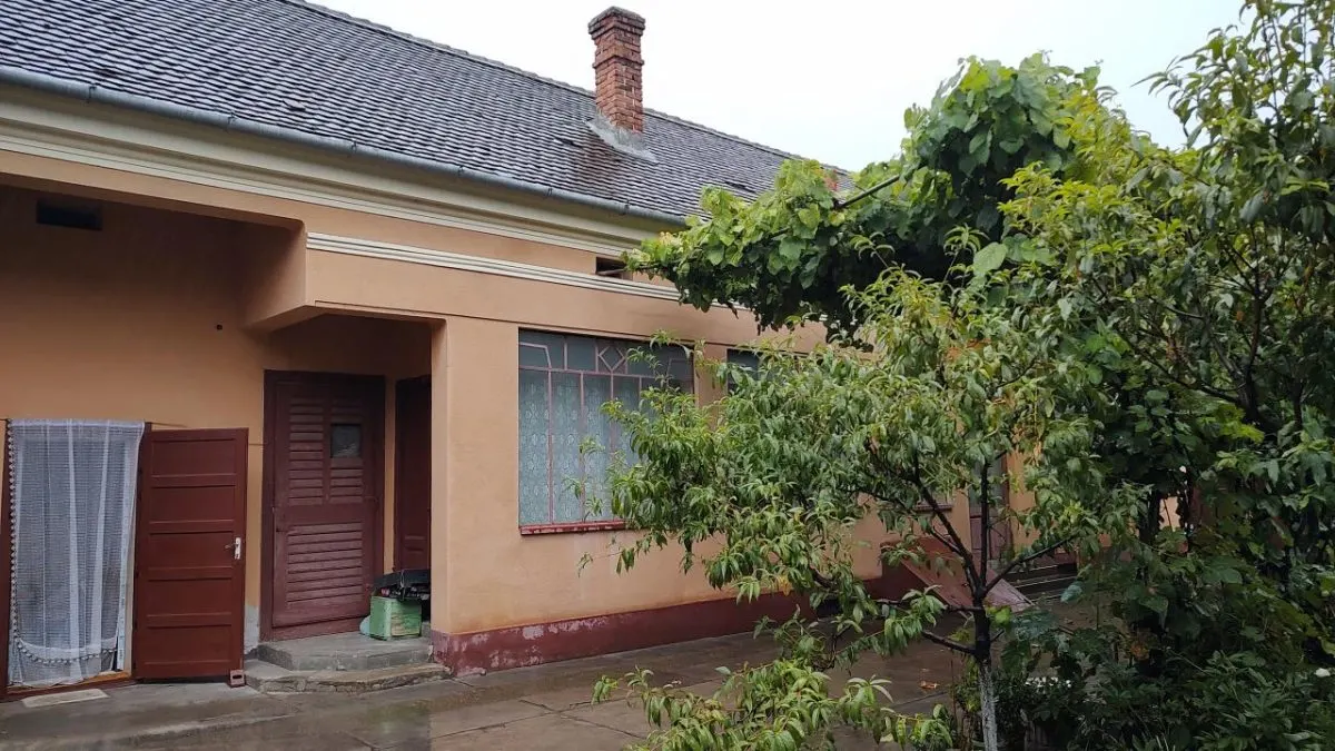 Casa individuala Lipova - foto 18