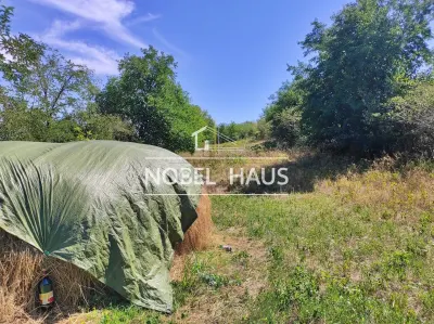 Teren 6200 mp, intravilan, sat Bogesti, comuna Pogana - foto 3