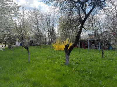 Teren intravilan construibil,Cornu Prahova -50 euro/mp - foto 4