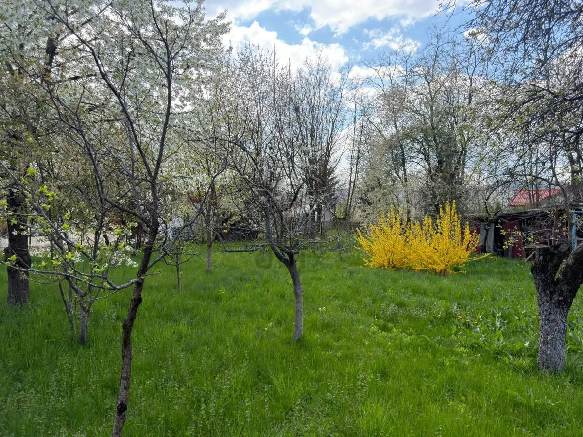 Teren intravilan construibil,Cornu Prahova -50 euro/mp - foto 7