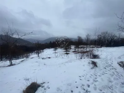 TEREN VALEA DOFTANEI - Sotrile