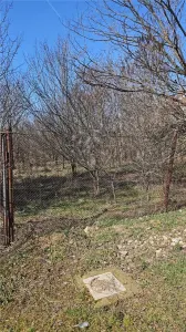 TEREN MEHEDINTA PRAHOVA - foto 3
