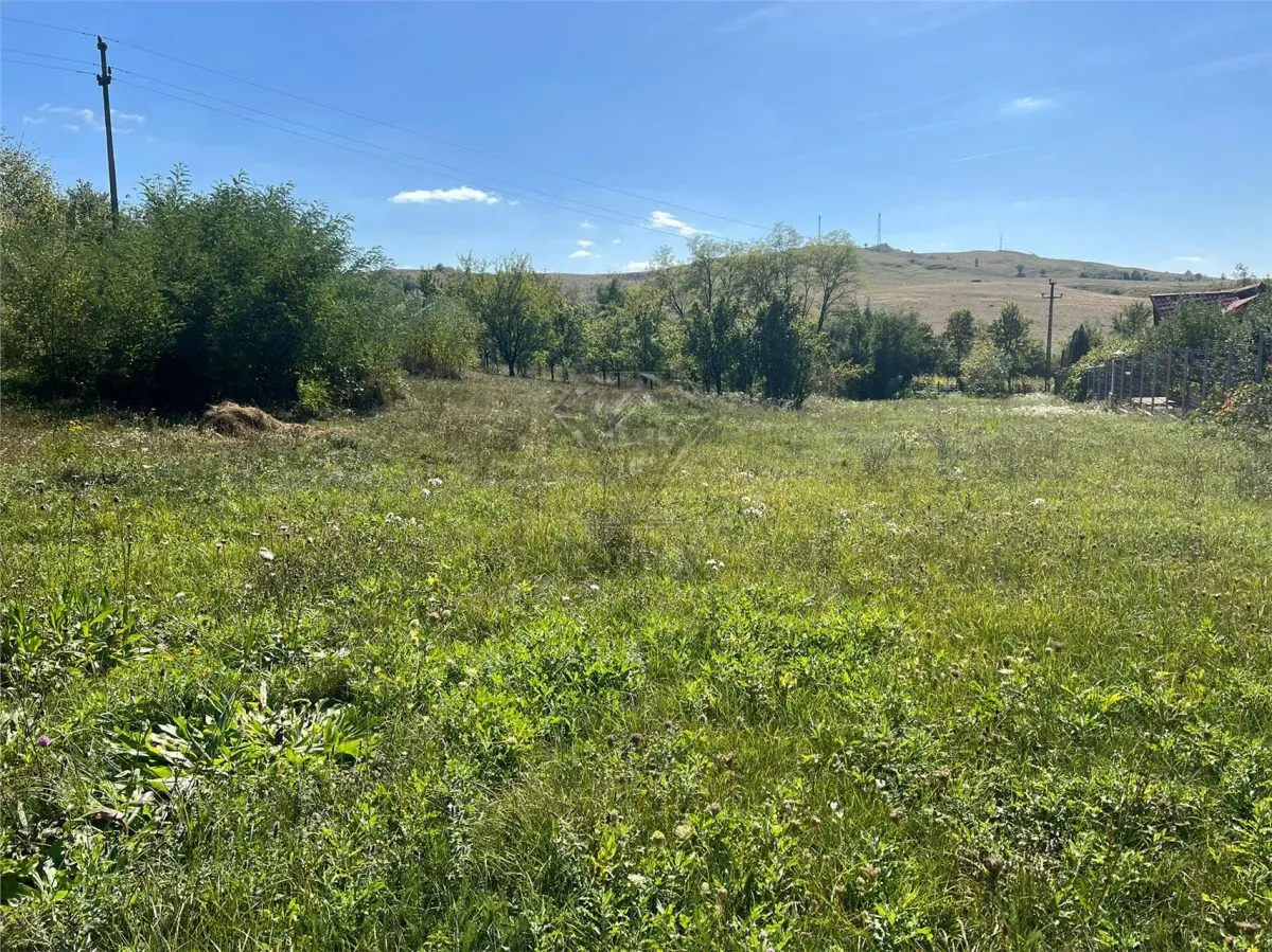 Teren intravilan 2.075 mp, construibil, comuna Drajna, Prahova - foto 1