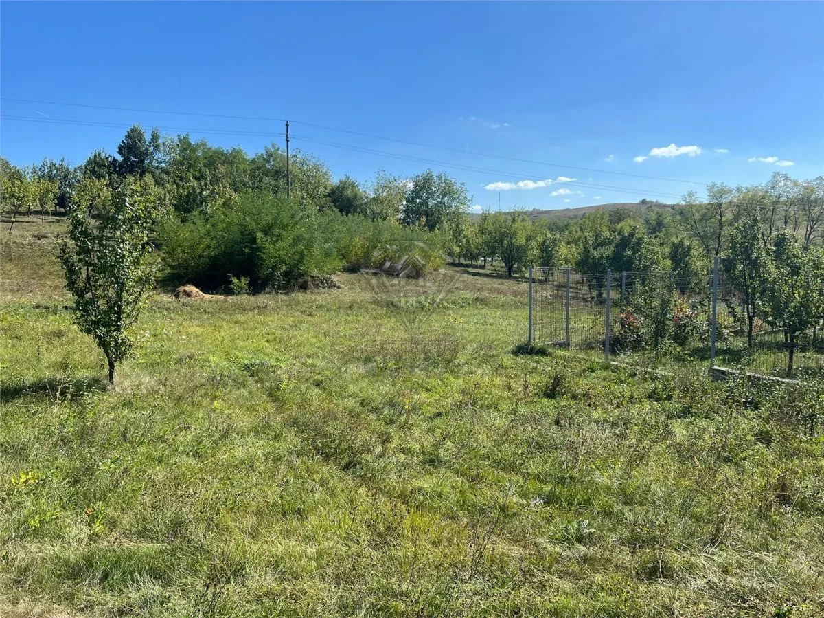 Teren intravilan 2.075 mp, construibil, comuna Drajna, Prahova - foto 3