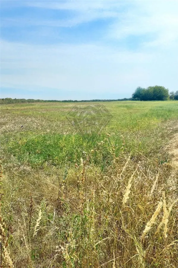 Teren intravilan de vanzare Lipanesti, parcelabil in loturi de 1000 mp - foto 2