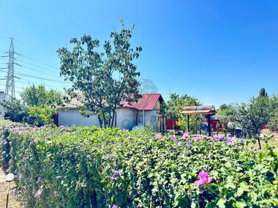 Casa si teren 3567 mp cu piscina, livada si helesteu – Corlatesti - foto 16