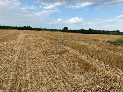Teren intravilan 7100 mp de vanzare in Paulesti, Cocosesti â€“ ideal pentru locuinte P+2E - Cocosesti