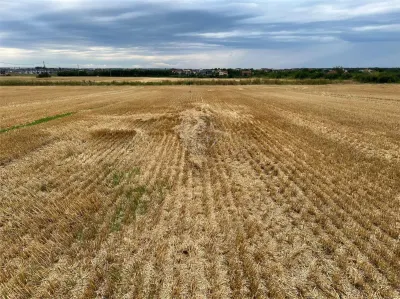 Teren intravilan 7100 mp de vanzare in Paulesti, Cocosesti – ideal pentru locuinte P+2E - foto 2