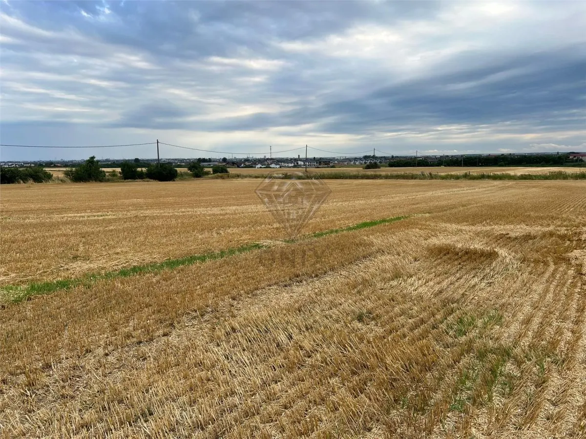 Teren intravilan 7100 mp de vanzare in Paulesti, Cocosesti – ideal pentru locuinte P+2E - foto 3