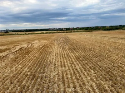 Teren intravilan 7100 mp de vanzare in Paulesti, Cocosesti – ideal pentru locuinte P+2E - foto 4