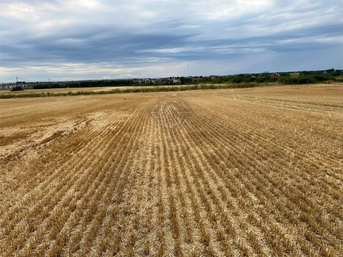 Teren intravilan 7100 mp de vanzare in Paulesti, Cocosesti – ideal pentru locuinte P+2E - foto 4